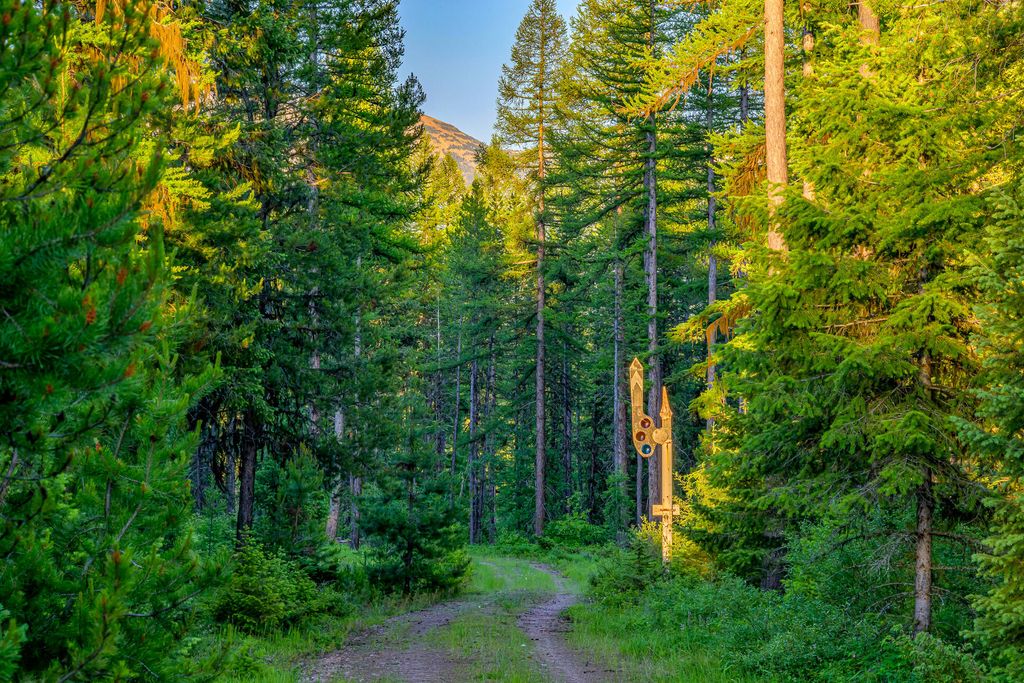 1355 Lindbergh Lake Road, Condon, MT 59826 photo 22