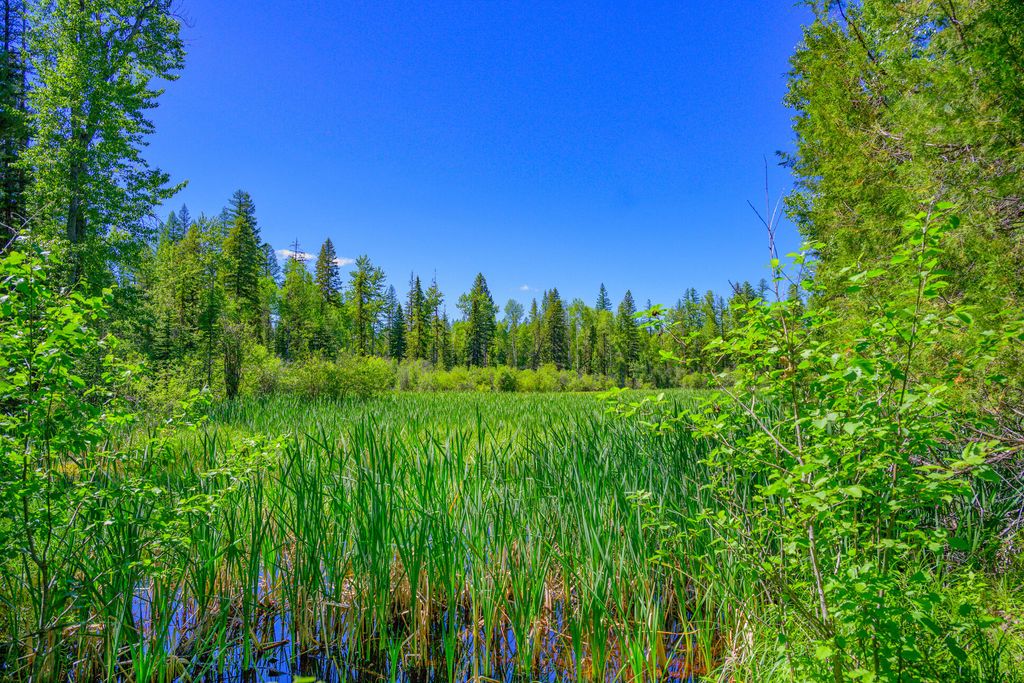 1355 Lindbergh Lake Road, Condon, MT 59826 photo 33