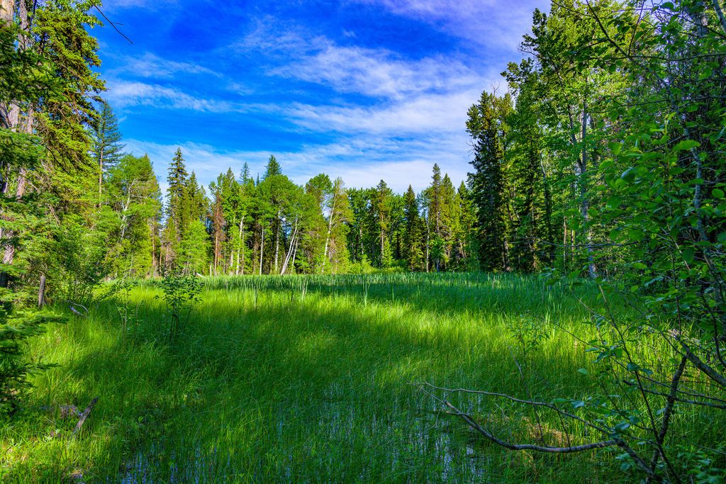 1355 Lindbergh Lake Road, Condon, MT 59826 photo 38