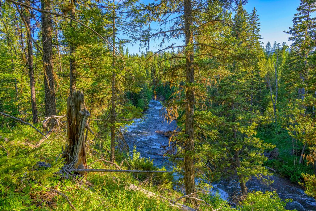 1355 Lindbergh Lake Road, Condon, MT 59826 photo 4