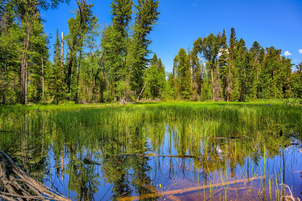 1355 Lindbergh Lake Road, Condon, MT 59826 photo 43