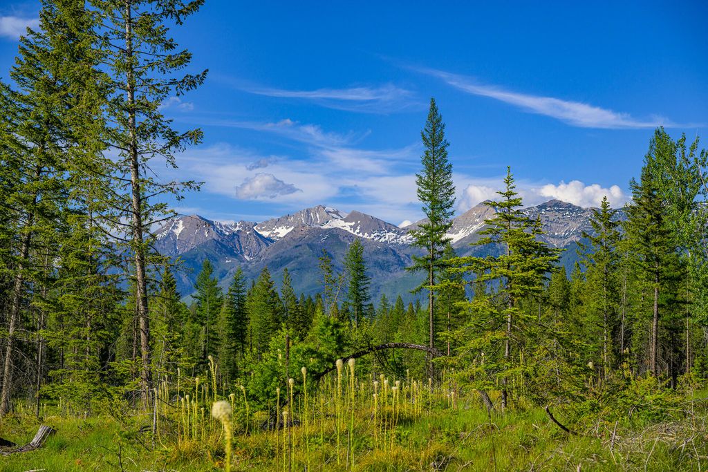 1355 Lindbergh Lake Road, Condon, MT 59826 photo 6