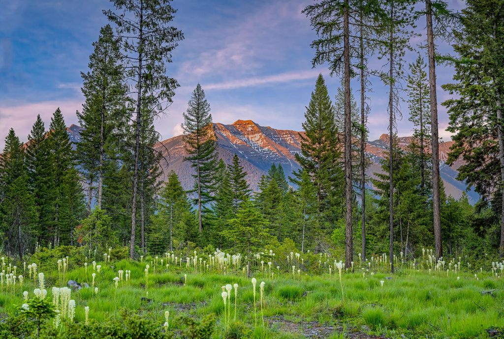 1355 Lindbergh Lake Road, Condon, MT 59826 photo 9