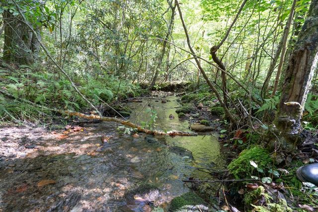 26.98 Ac Tusquittee, Hayesville, NC 28904