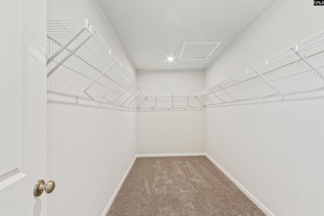 244 Wheat Farm Road, Columbia, SC 29209