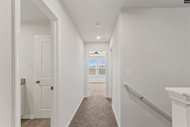 244 Wheat Farm Road, Columbia, SC 29209