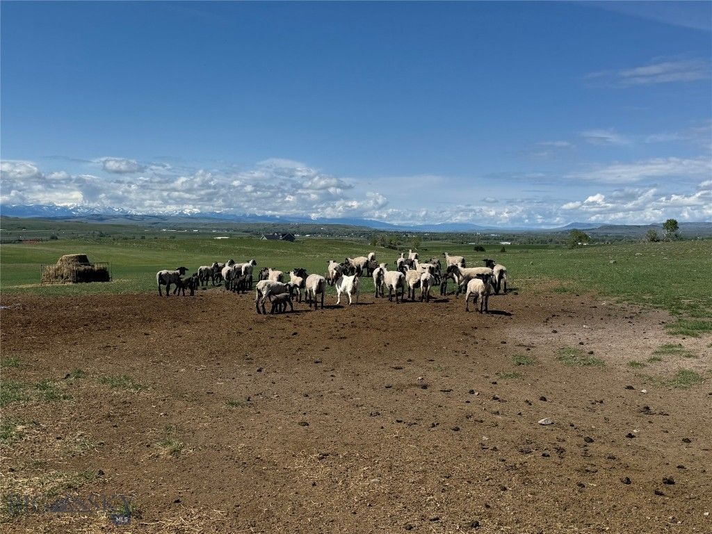 307 Howie Rd, Big Timber, MT 59011 photo 57