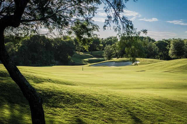 32016 Dove Trail, Whitney, TX 76692