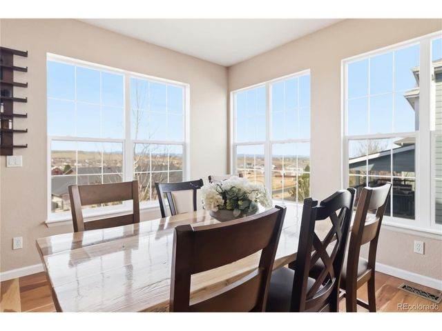 11751 S Rock Willow Way, Parker, CO 80134