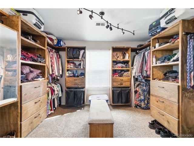 11751 S Rock Willow Way, Parker, CO 80134