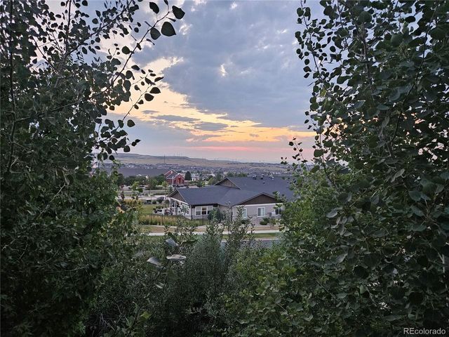 11751 S Rock Willow Way, Parker, CO 80134