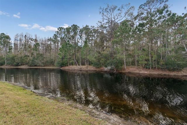 1053 KETZAL DRIVE, Trinity, FL 34655