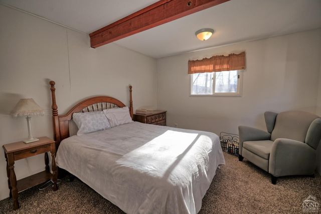 31 Showers Road, Hunter, NY 12485