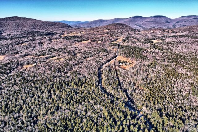 31 Showers Road, Hunter, NY 12485