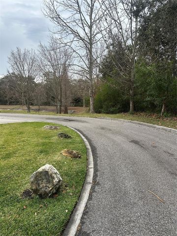 8836 TURNSTONE SHORE LANE, Riverview, FL 33578