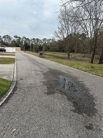 8836 TURNSTONE SHORE LANE, Riverview, FL 33578