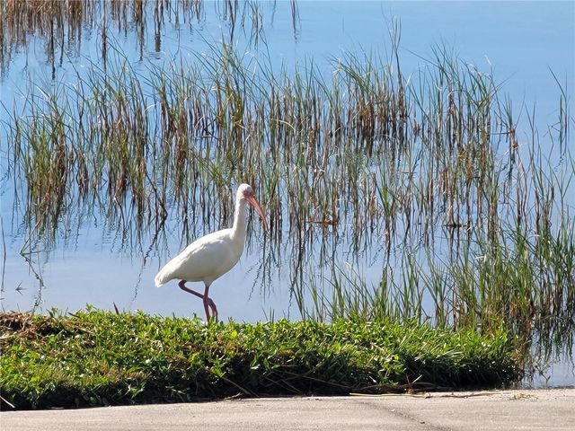 4829 SUMMIT VIEW WAY, Auburndale, FL 33823