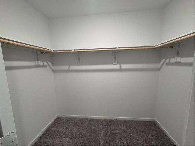 6123 Sunburst Scarlet St, Katy, TX 77493