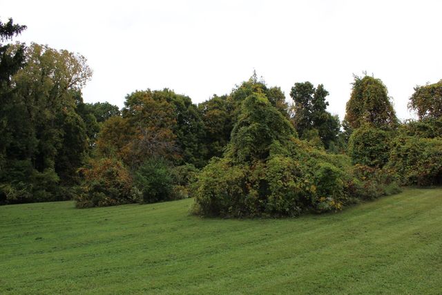 7948 Columbus Road SW, Pataskala, OH 43062