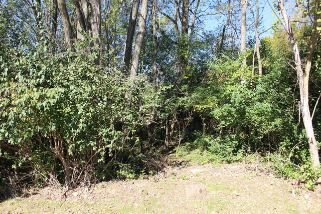 Vacant E Clark Road, Superior Twp, MI 48198