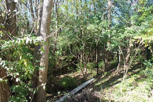 Vacant E Clark Road, Superior Twp, MI 48198