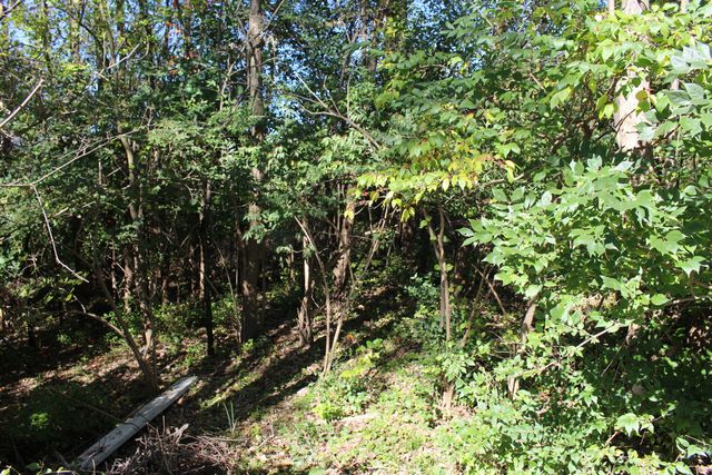 Vacant E Clark Road, Superior Twp, MI 48198