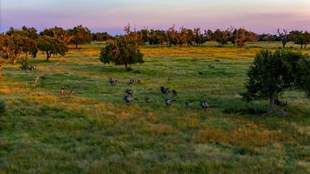 Lot 71 Fallow Dr # 71, Harper, TX 78631