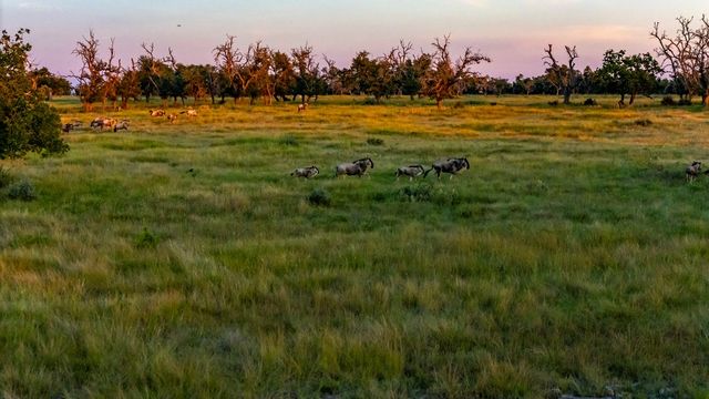 Lot 71 Fallow Dr # 71, Harper, TX 78631