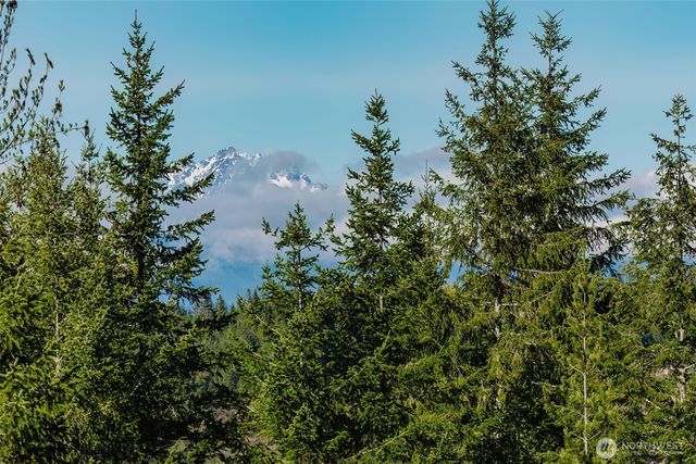 62 NE Southridge Drive, Belfair, WA 98528