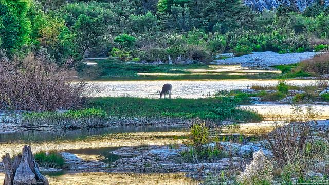 1647 Rio Ranchero, Pipe Creek, TX 78063