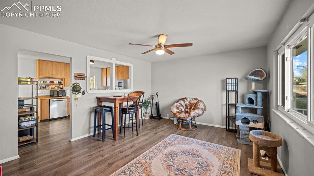 946 Hutchinson Drive, Colorado Springs, CO 80910 — photo 3
