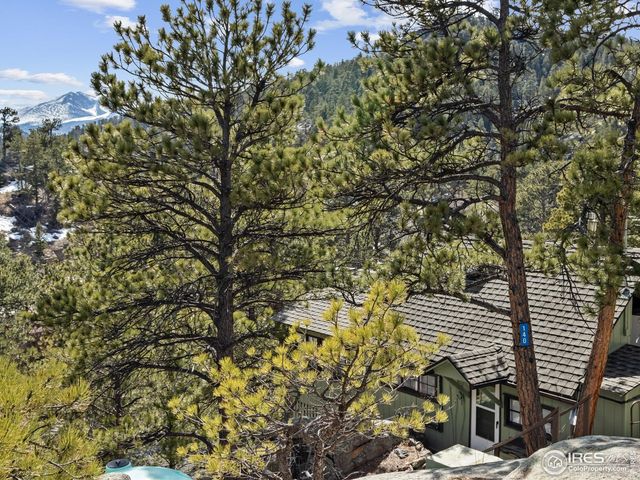 140 Loveland Heights Ln, Drake, CO 80515