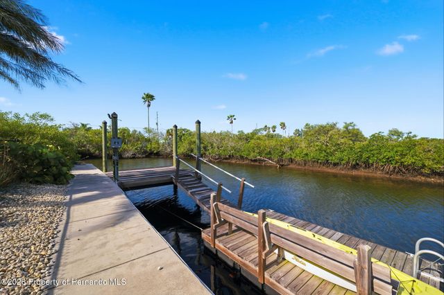 13231 Starfish Drive, Hudson, FL 34667