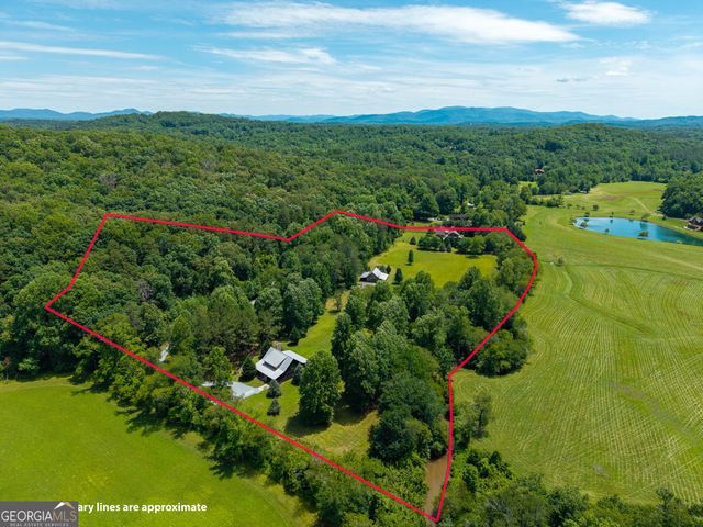 965 Bell Road 9 & 11, Mineral Bluff, GA 30559