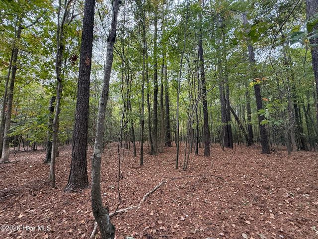 119 Bessie Road, Carthage, NC 28327