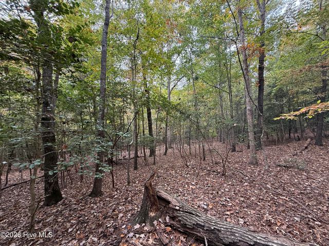 119 Bessie Road, Carthage, NC 28327