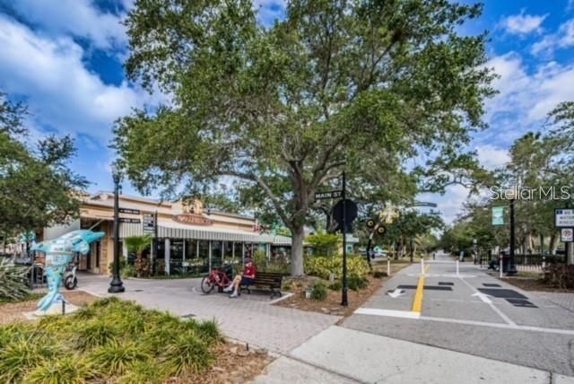1455 FAIRWAY DRIVE, Dunedin, FL 34698