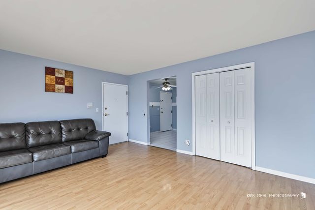 1319 N Baldwin Court 2B, Palatine, IL 60074