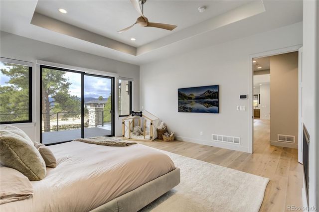 17110 Copper Valley Ct, Monument, CO 80132