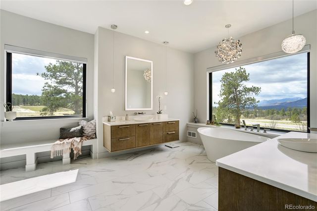 17110 Copper Valley Ct, Monument, CO 80132