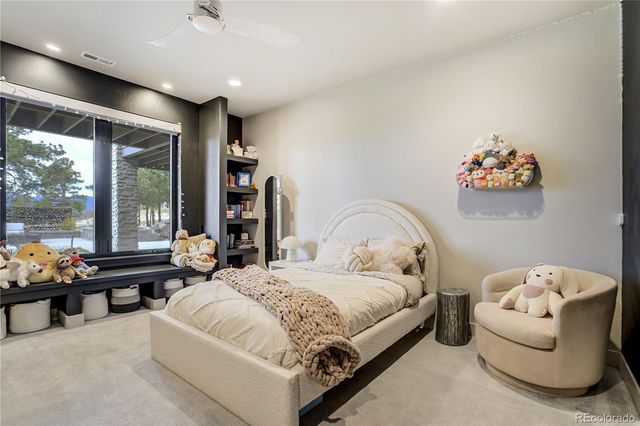 17110 Copper Valley Ct, Monument, CO 80132