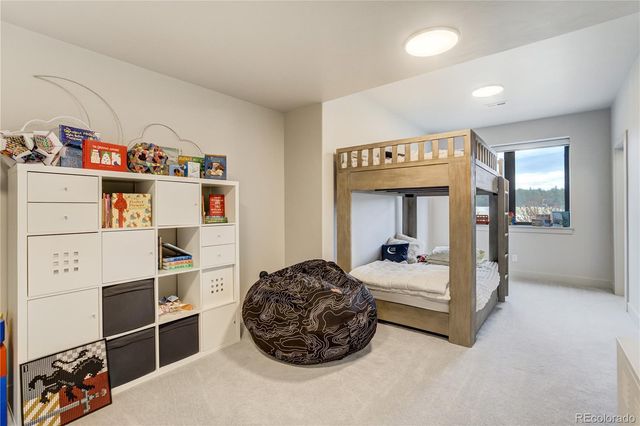 17110 Copper Valley Ct, Monument, CO 80132