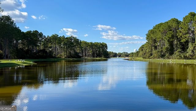 114 Tacatacoru Court, St. Marys, GA 31558