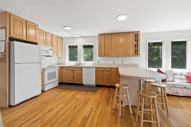 64 Lillian Road, Mahopac, NY 10541