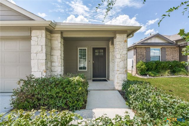 195 Coralbean Drive, Kyle, TX 78640