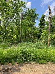 TBD Gumwood Lane, Scandia Valley Twp, MN 56466