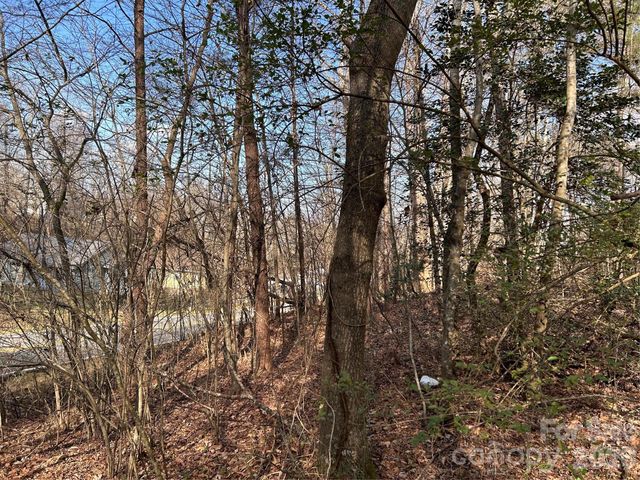 303 Burke Street, Hickory, NC 28601