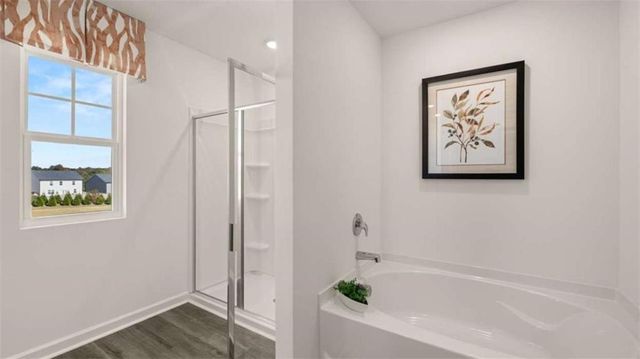 166 White Spruce Way, Newnan, GA 30265