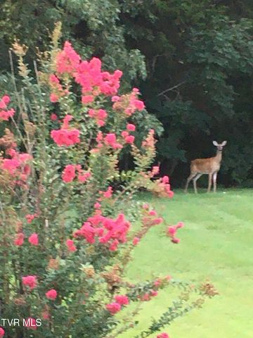 100 Mingo Trail, Greeneville, TN 37743