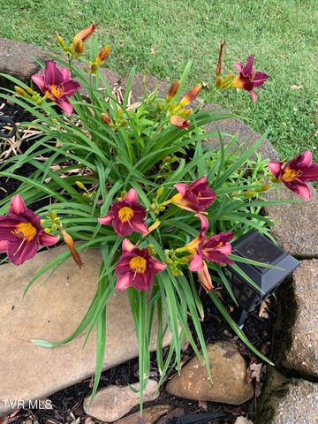 100 Mingo Trail, Greeneville, TN 37743